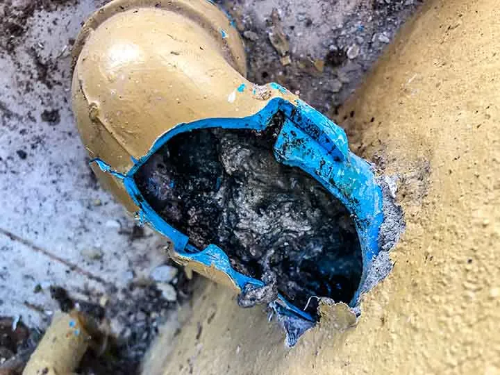 How to Spot a Damaged Sewer Line