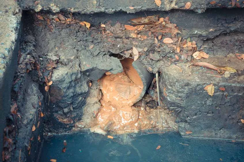 sewer-line-issues-during-fall sewer-line-issues-during-fall