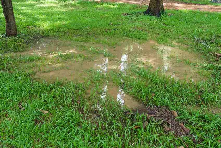 signs-a-drain-field-restoration