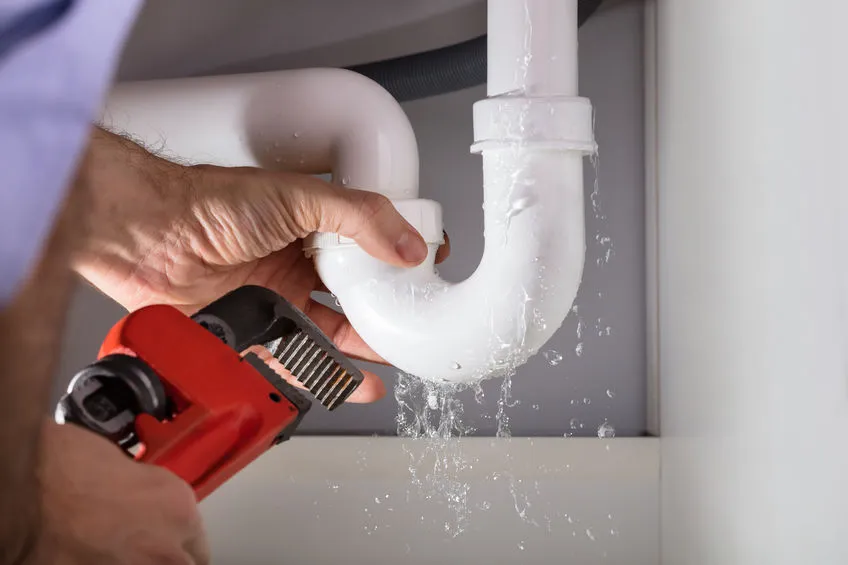 signs-you-need-professional-leak signs-you-need-professional-leak