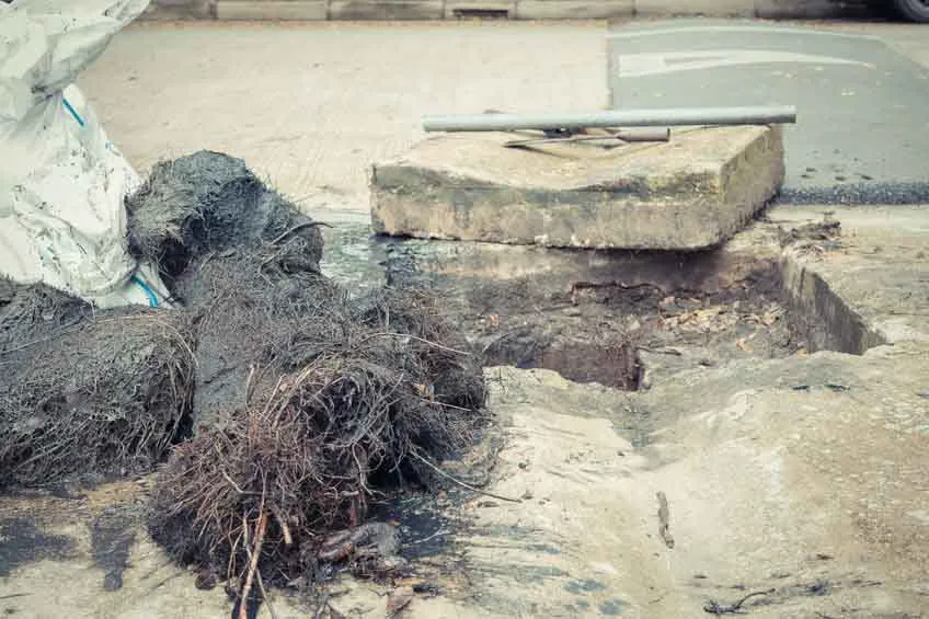 why-sewer-cleaning-is-important why-sewer-cleaning-is-important