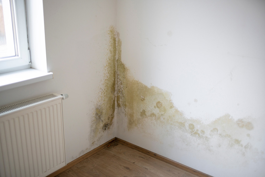 Water stains on wall