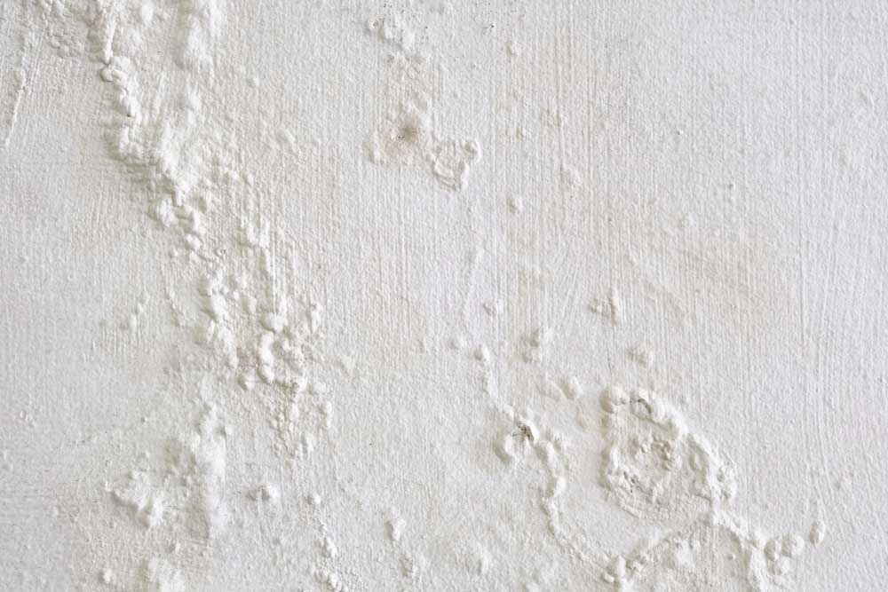 Wall showing peeling and bubbling paint due to water leaks