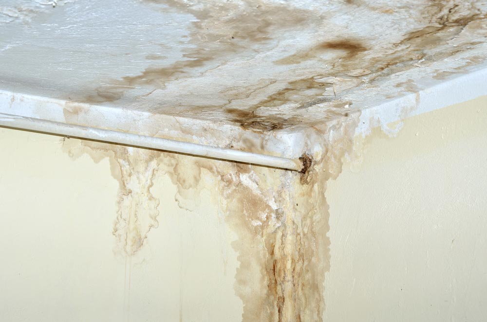 Water stains on walls Crozet, VA