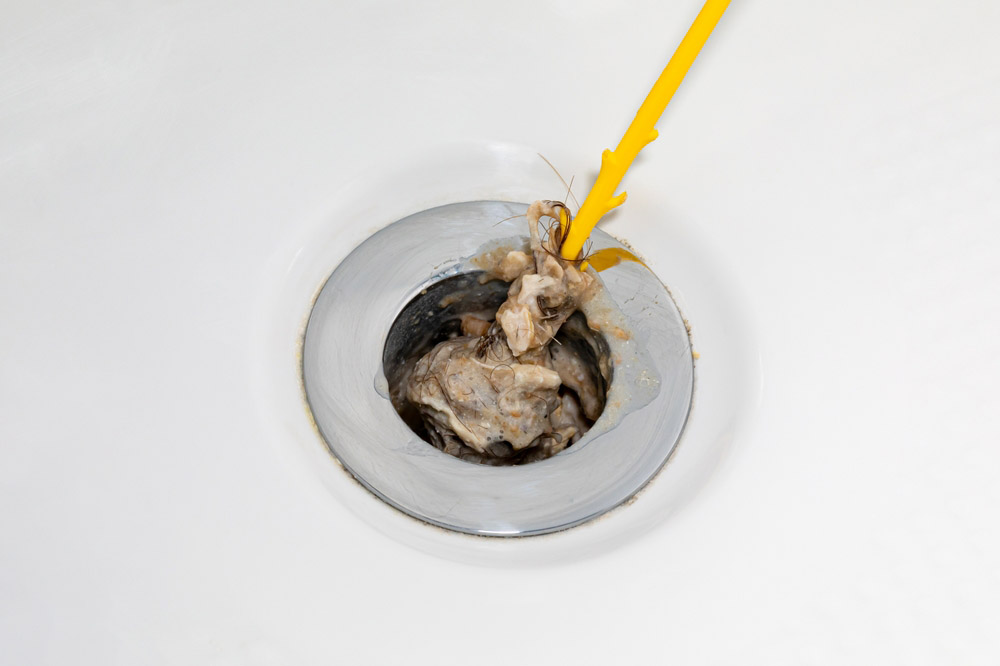 Biofilm in drains