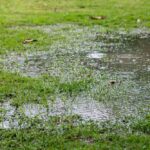 Puddle on lawn