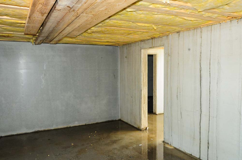 Leak in basement