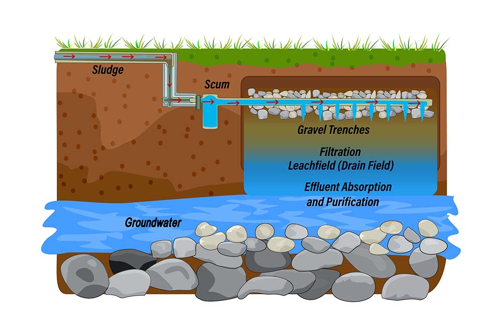 drain field