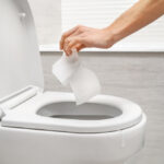 flushable wet wipes
