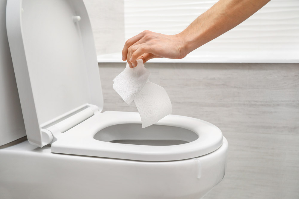 flushable wet wipes flushable wet wipes