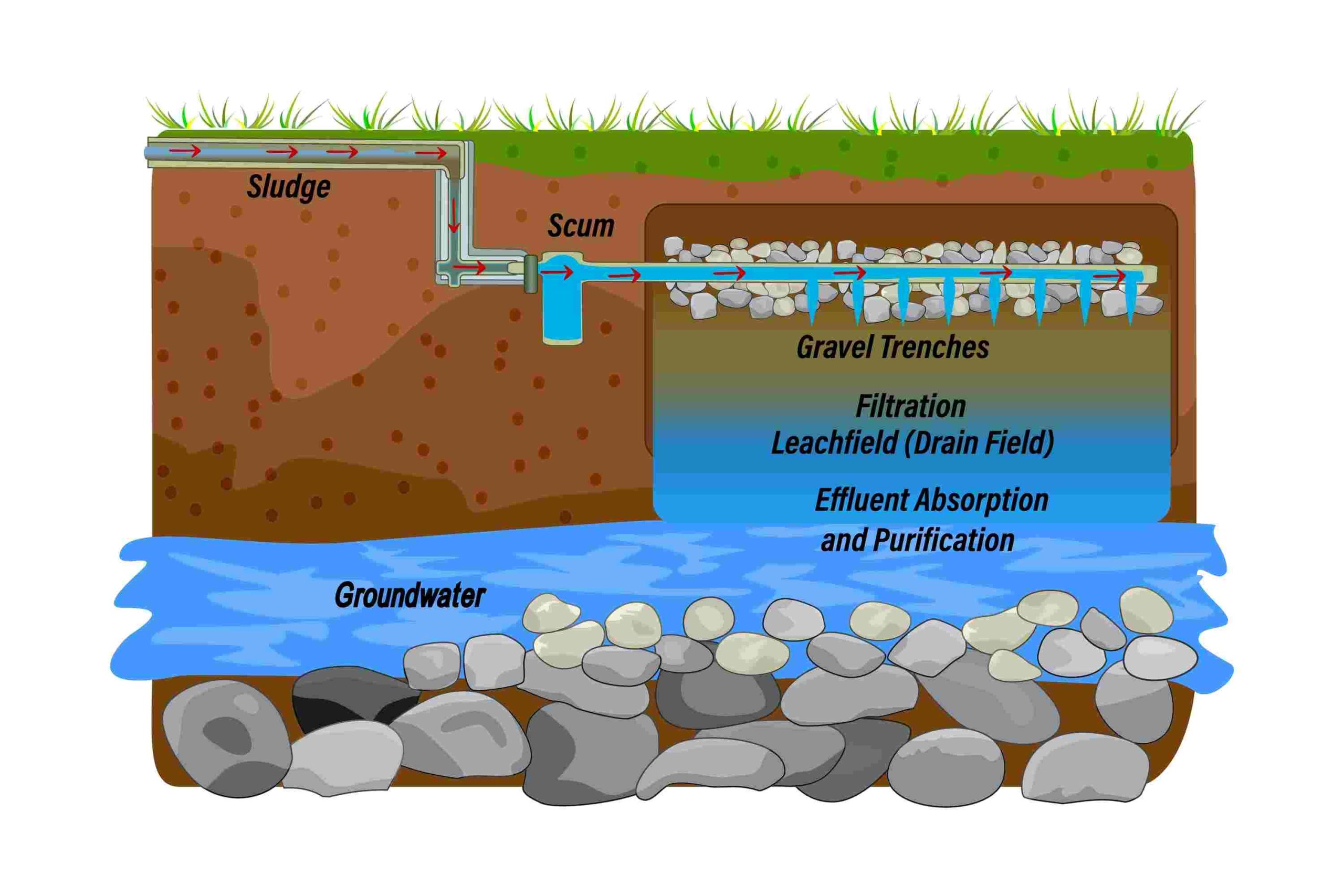 drainfield-diagram drainfield diagram