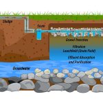 plumber inspecting a drain field