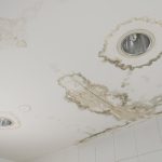 mold around water-stained ceiling or wall