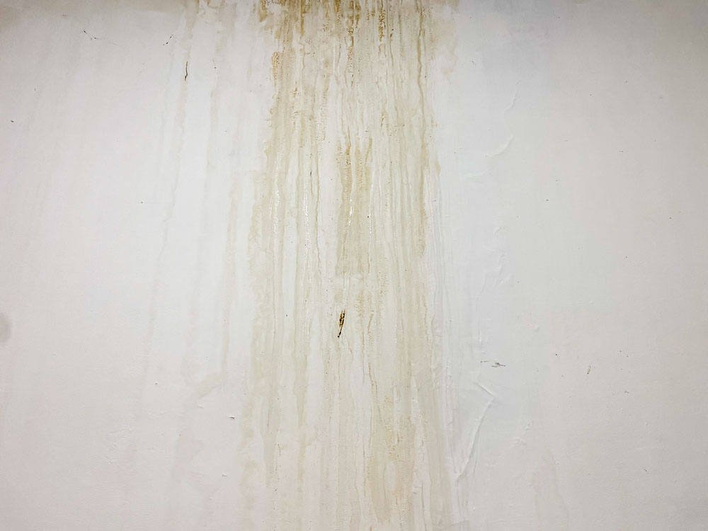 water-stained walls/floors/ceilings