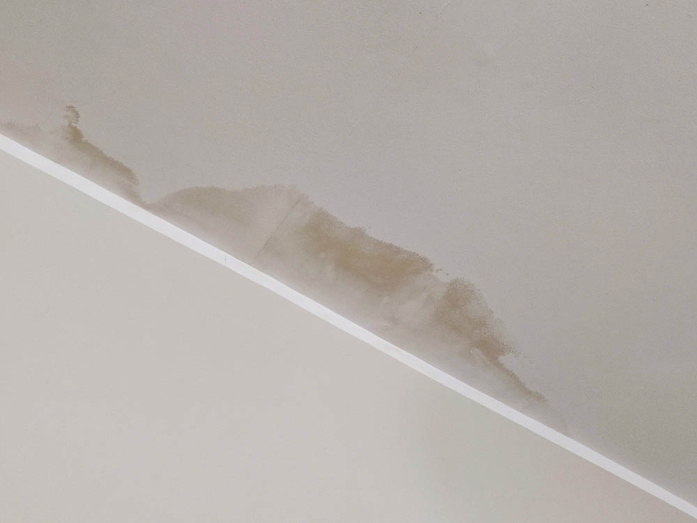 water-stained ceiling/wall