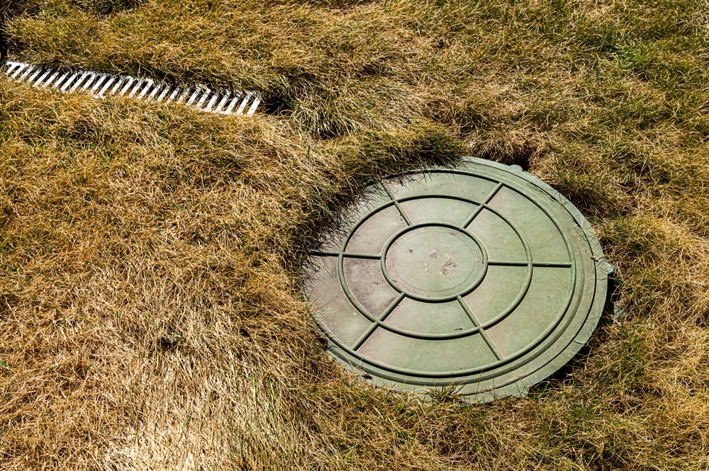 Overhead view of a green septic tank lid nestled in dry