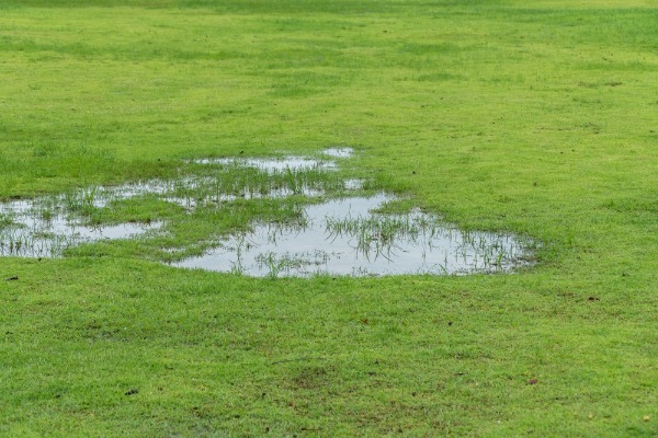 standing water over saturated drain field